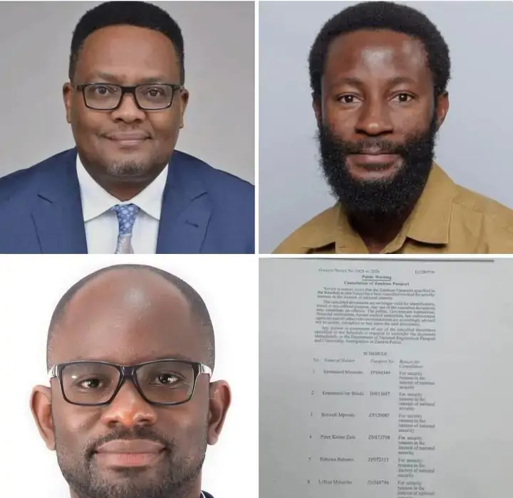 Zimbabwean Journalist Hopewell Chinono Schools Zambians On Passports