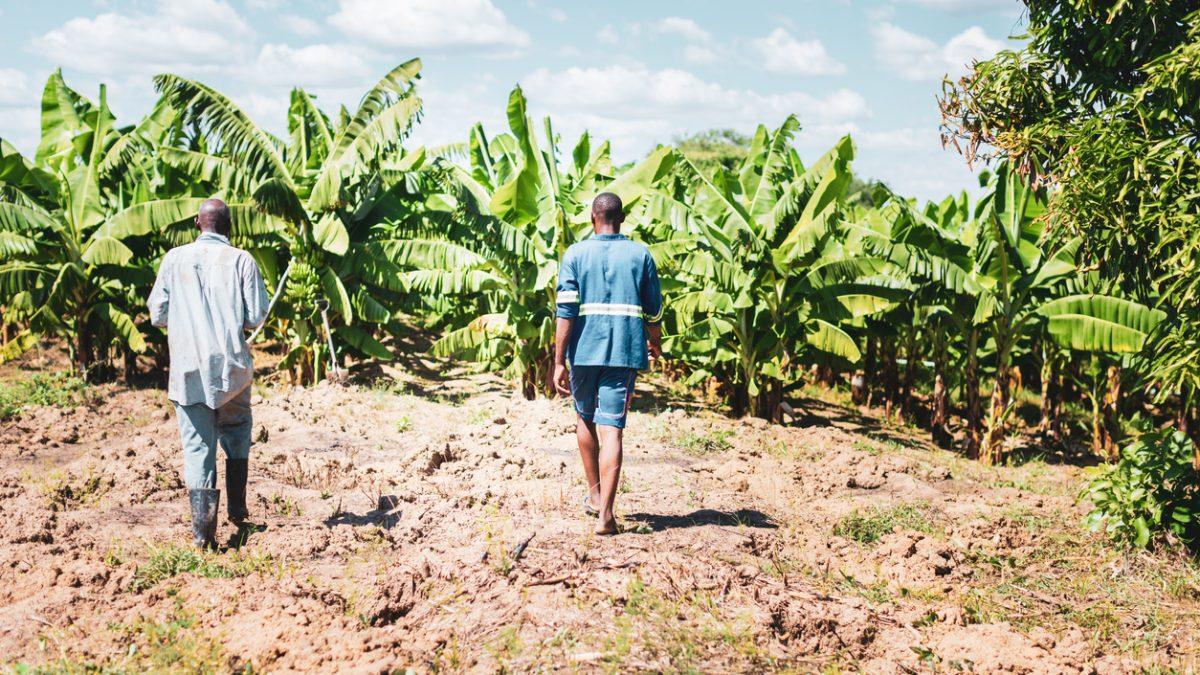 Can the proposed Agric Land Bill strengthen community consent?