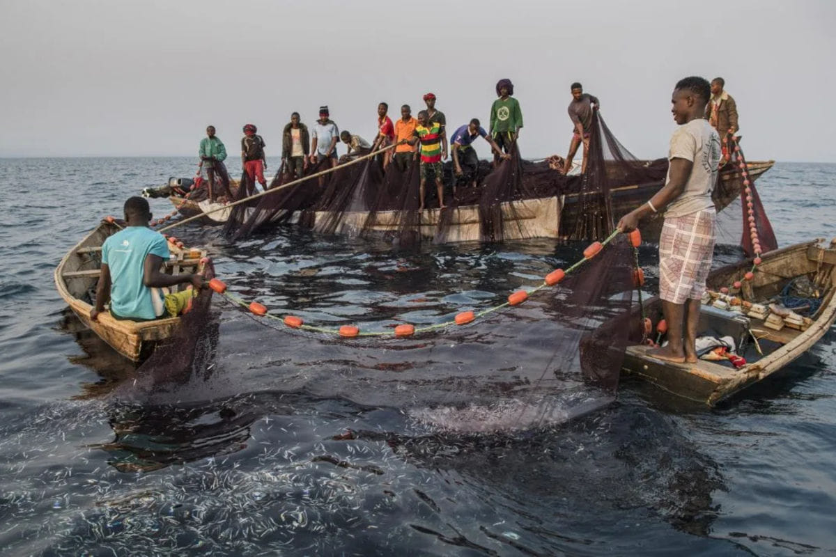 LAKE TANGANYIKA FISH BAN STILL IN EFFECT