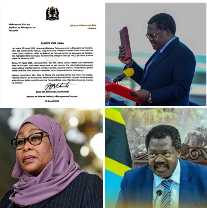 TANZANIA VICE PRESIDENT EMMANUEL NCHIMBI RESIGNS