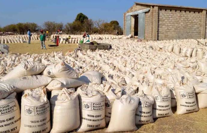 Kenya maize deal: Will farmers get more than FRA payments?