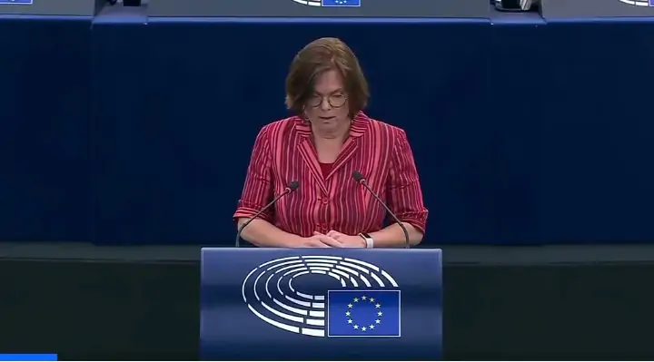 EUROPE CALLS FOR REVIEW OF FUNDING TO ZAMBIA CITES MUTOTWE KAFWAYA’S KILLING