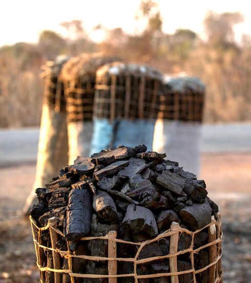 Rising electricity costs driving charcoal prices higher—ZACA