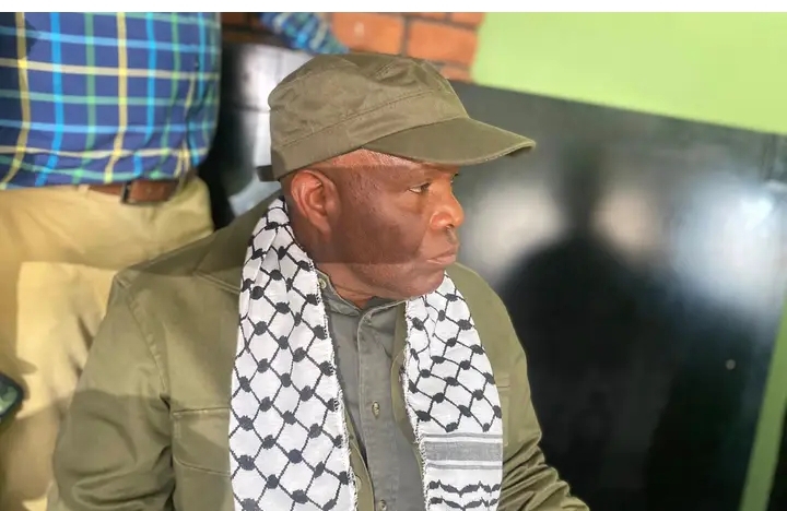 Running elections is too expensive for Socialist Party, says Fred M’membe