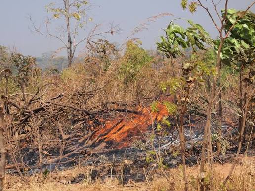 Don’t burn farm fields amid El Niño, SEEDCO warns