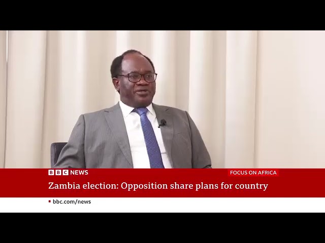 Zambia : BBC Interview Raises Questions About Mundubile’s Readiness To Lead