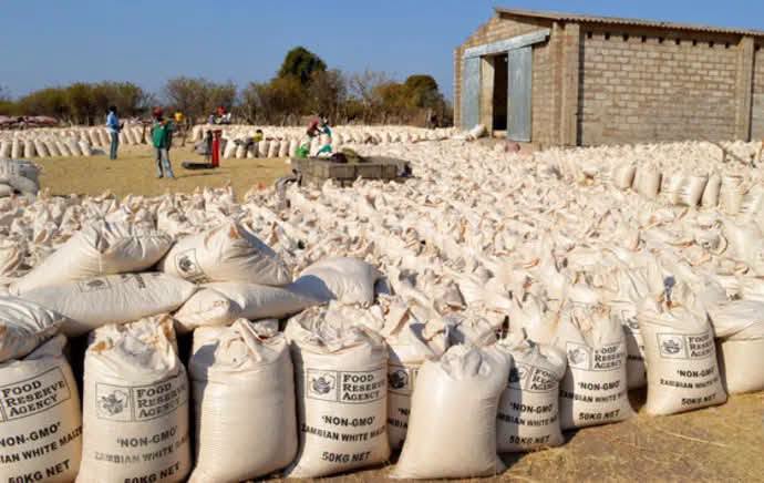 Zambia : FRA To Expedite Purchase Of Maize