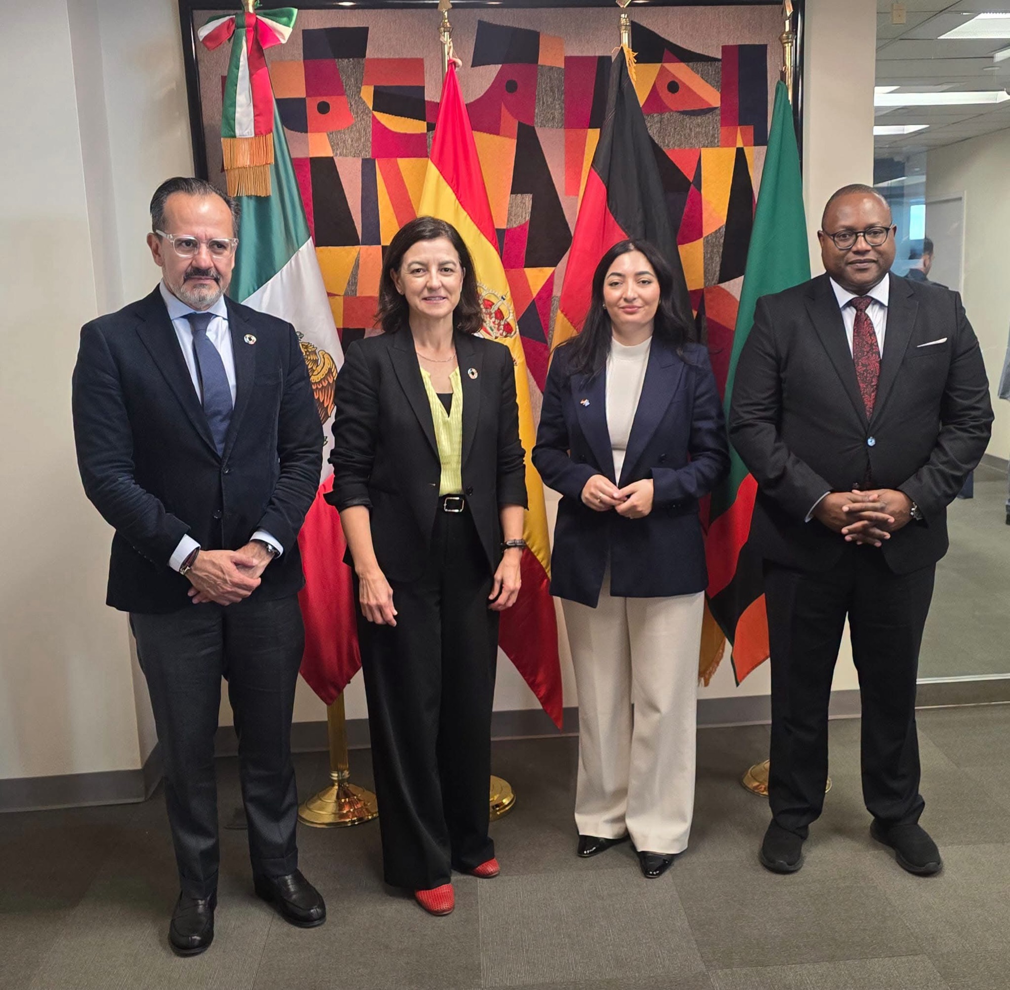 Zambia calls for stronger coordination in global commitments