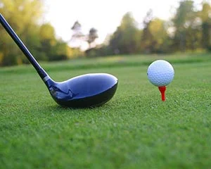 2 Zambians make cut in Mopani Open