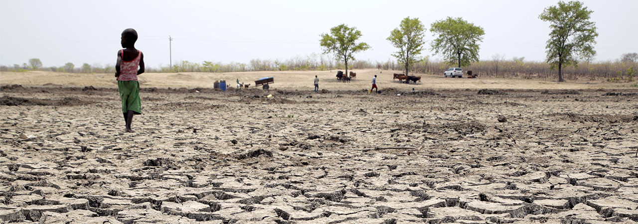 Africa must brace for a powerful El Niño