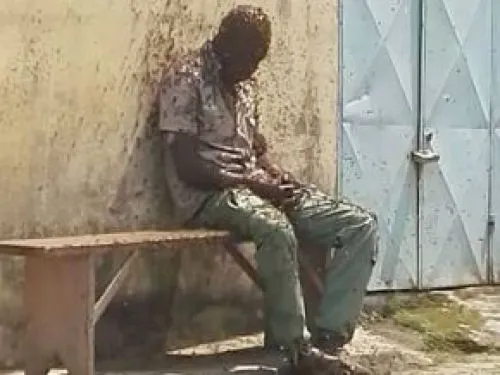 Daylight Drama As Most Wanted Lusaka Scammer Gets Attacked By Bees After Stealing From The Wrong Person