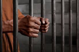 Zambia : Five Lusaka Residents Jailed Five Years For Possession Of Pangolin
