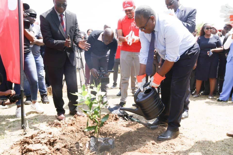 Stronger partnerships needed to restore Zambia’s landscapes