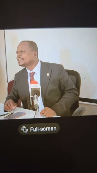 Trevor Mwiinde of UPND goes ADDA on Sylvia Masebo!