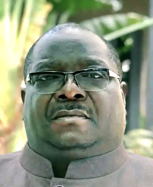 NRPUP PLAN STAGE MANAGED ATTACKS IN SOUTHERN PROVINCE TO BLAME UPND – KAMBWILI