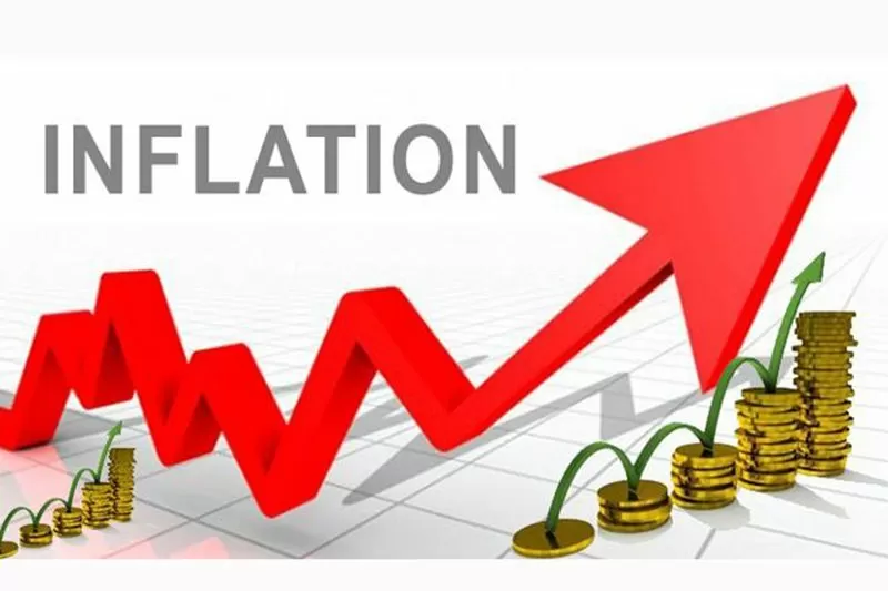 Domestic borrowing raises Inflation.