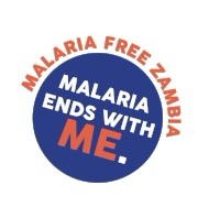 Chipangali records reduction in malaria cases