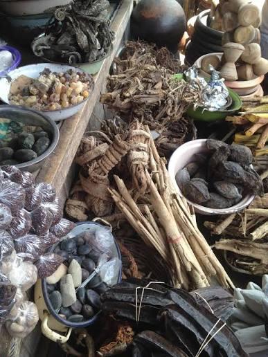 Traditional Health practitioners support regulation of herbal posters in Lusaka