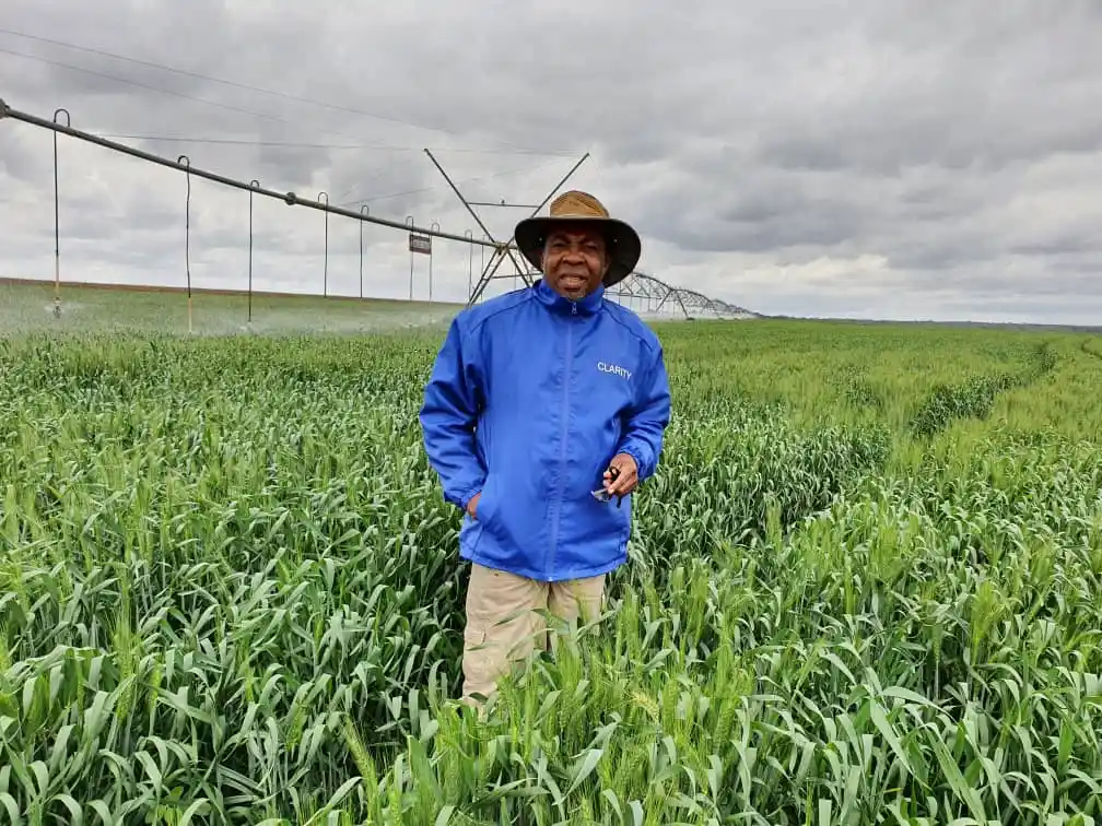 Zambian farmers brace for growth stagnation as temperatures drop
