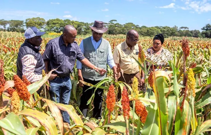 IT IS OUR PATRIOTIC DUTY TO STOP A RETURN TO KAPONYANOMICS- Saviour Chishimba