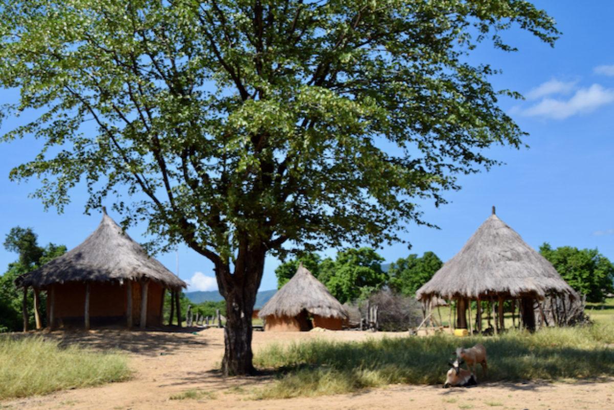 Land policies progressive but lack funding, strict implementation