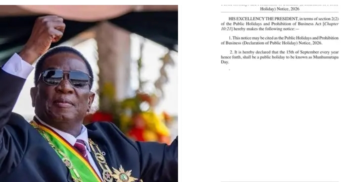 Zimbabwe has declared President Emmerson Mnangagwa’s birthday a public holiday in his honour