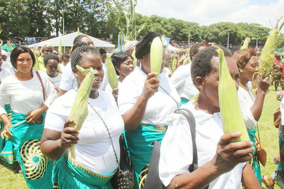 Mistreating farmers is the greatest threat to food security