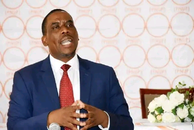UPND ALLIANCE MEMBER SAYS NRPUP GAVE RULING PARTY A GOOD RUN IN GENERAL ELECTION
