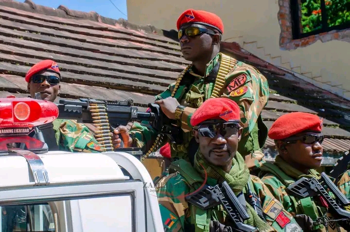 DARING THE ARMY; AN UNWISE DECISION BY TOONSE PAMODZI ALLIANCE