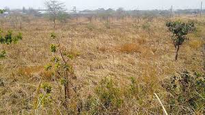 What is fueling land scams in Lusaka?