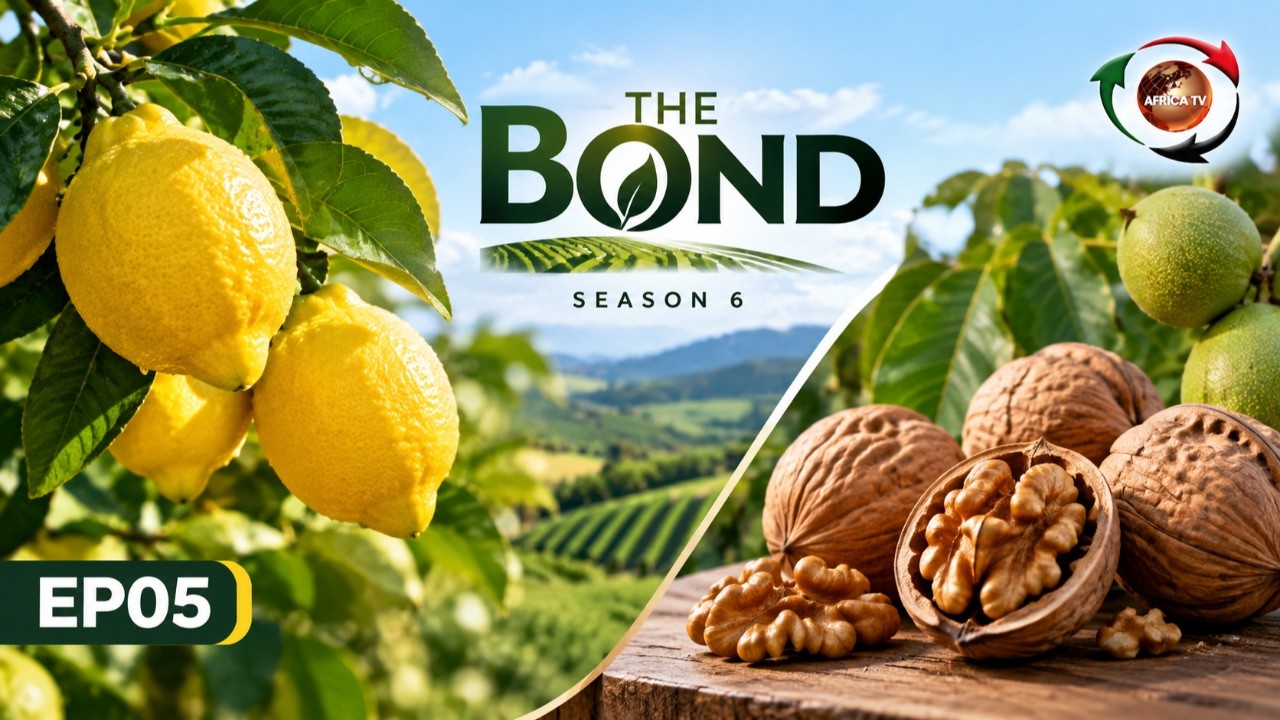 The Bond Season 6 EP05: Special Lemons and Walnuts explores unique agricultural stories