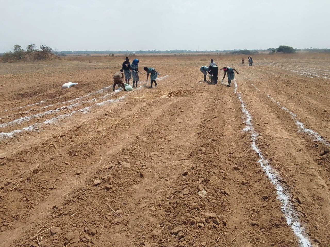Zambia : Govt. Extols Mbala Schools On Presidential Irrigation Initiative