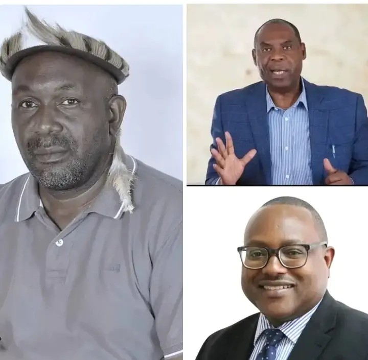 Longwe reports Haimbe, Imenda to police…UPND stalwart alleges forged documents and false court evidence