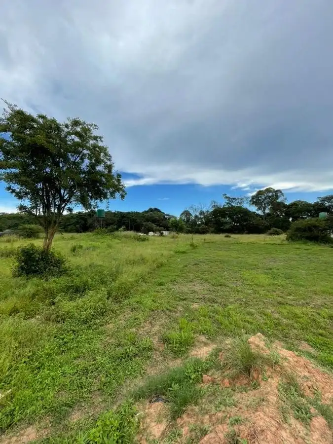 My Land Was About to Be Auctioned Until a Stranger Showed Me an Unbelievable Way Out