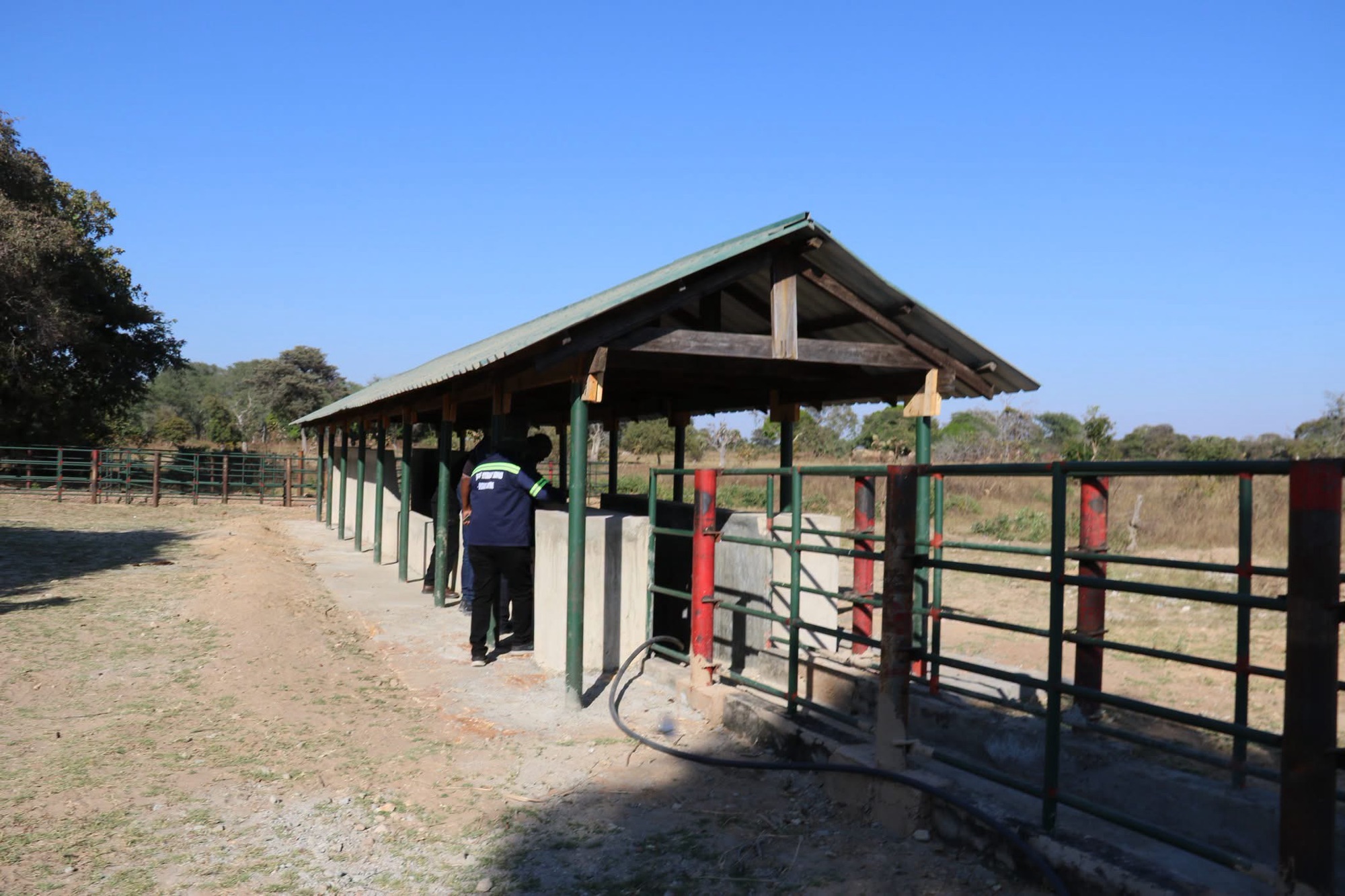 FAO constructs Livestock infrastructure