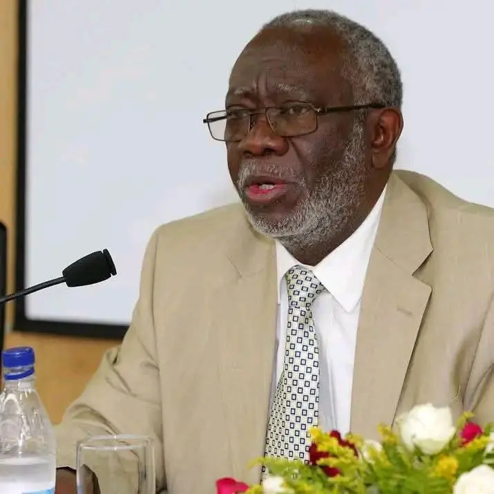 I’M DISAPPOINTED WITH HH’s LEADERSHIP – SHAMENDA