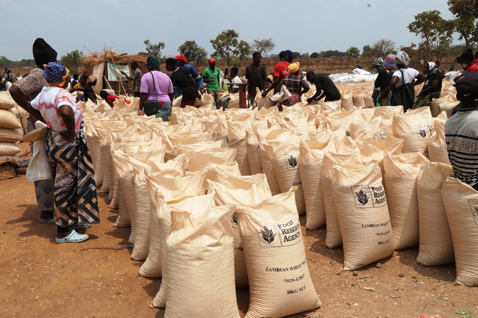 Chipangali FRA mops up 165,000 bags of maize