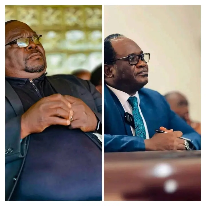 I Never Said Brian Mundubile should be arrested – Kambwili