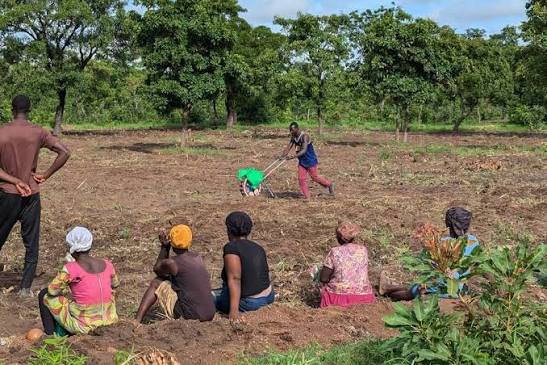 Zambia : Over 2,000 Farmers In Lavushimanda Redeem FISP Inputs