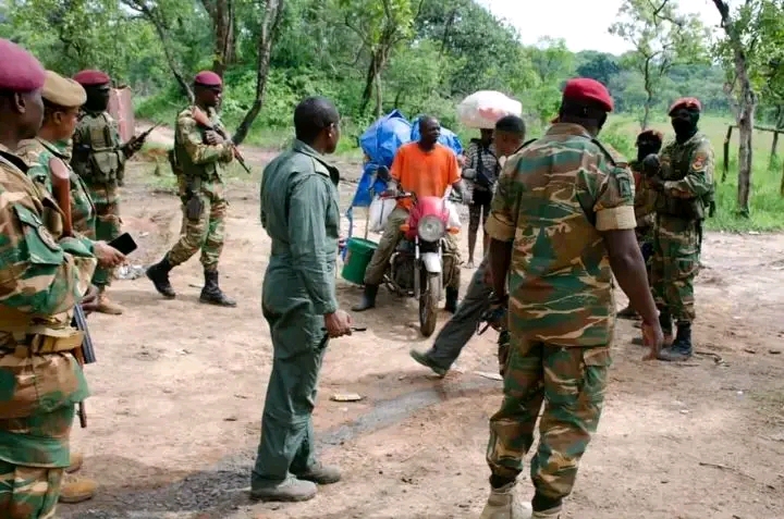 If the Army rigs elections, how did Lungu lose?