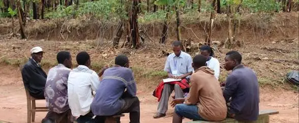 The Land I Was Fighting For in Court for Five Years Was Sold Without My Knowledge By My Own Brother