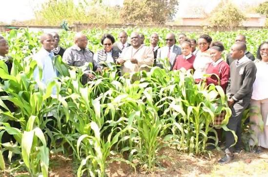 Zambia : Nakonde Schools Receive Irrigation Initiative Funding