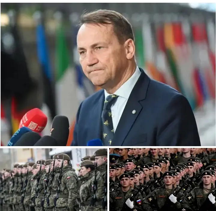 POLISH FOREIGN MINISTER SIKORSKI SAYS POLAND COULD DEFEAT RUSSIA QUICKLY IF ATTACKED