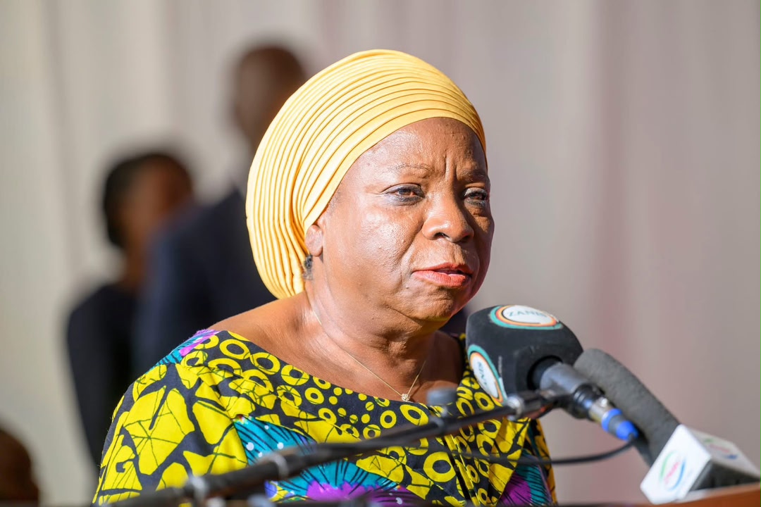 It’s dangerous to accuse govt of abducting citizens – VEEP