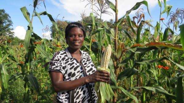 Agricultural exports up 20% in June 2026