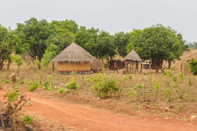 Traditional leader’s addition to Survey Board to curb boundary disputes