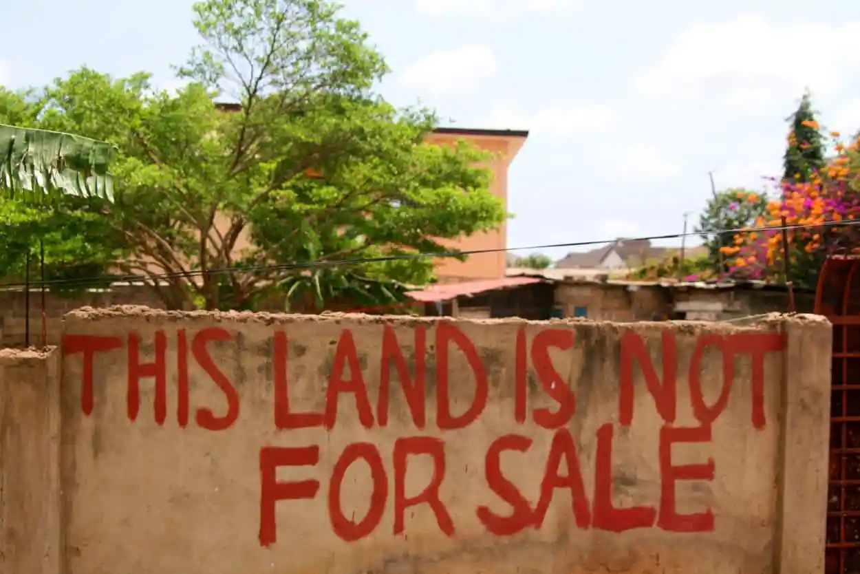 “After Years Of Court Cases And Land Disputes, I Finally Found Peace – Chongwe Farmer Shares The Strategy That Finally Made Him Become Victorious In All His Battles”