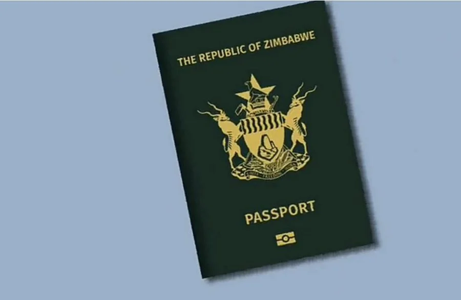 Zim student pleads guilty for working without permit