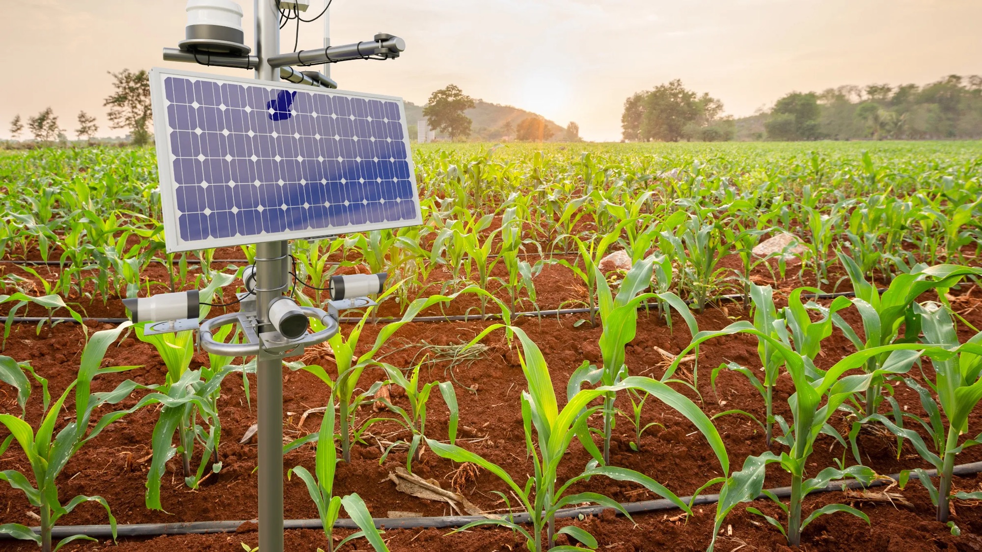 Shibuyunji Youths to benefit from Smart Agriculture Project