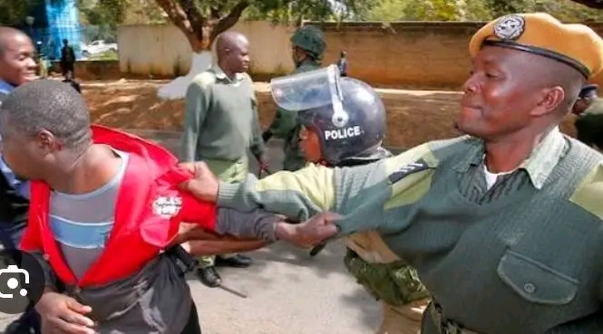 Laura Miti blames police for failure to curb political violence